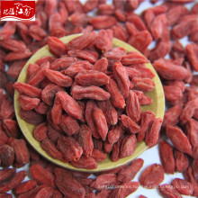 Ningxia goji